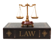 Legal-Translation-1_resized Arabic Legal Translation